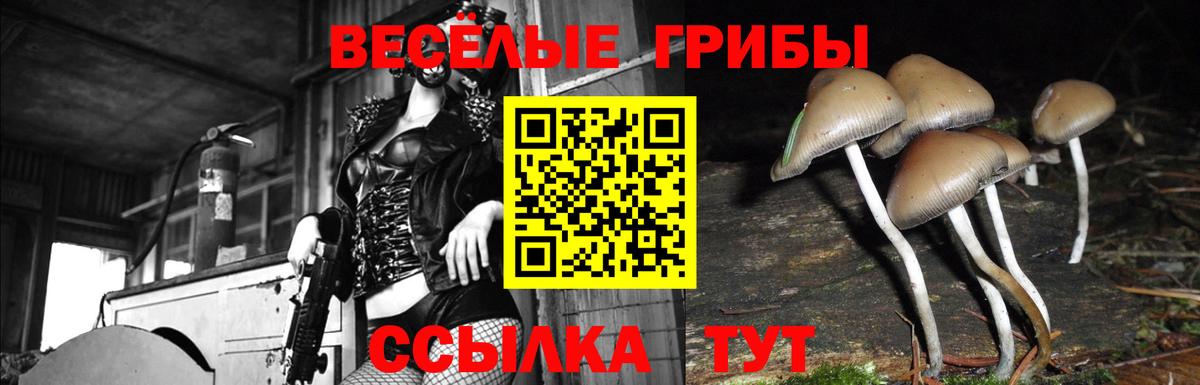 Томск  Галлюциногенные грибы Magic Shrooms  Вход с VPN 