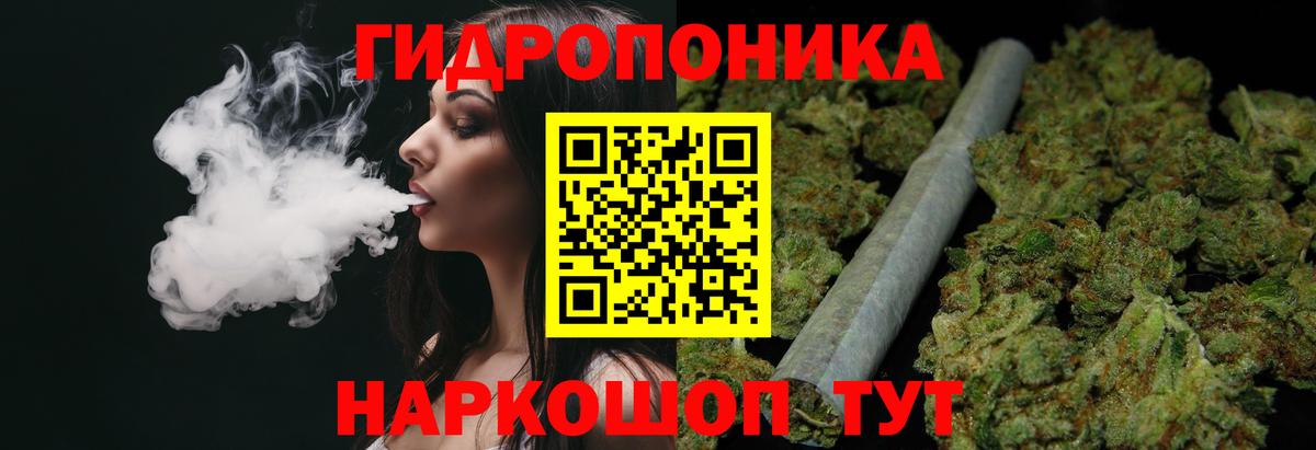Томск  МАРИХУАНА White Widow  Конопля White Widow  Вход с VPN  МАРИХУАНА план 